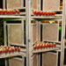 Catering Events
