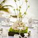 Weddings